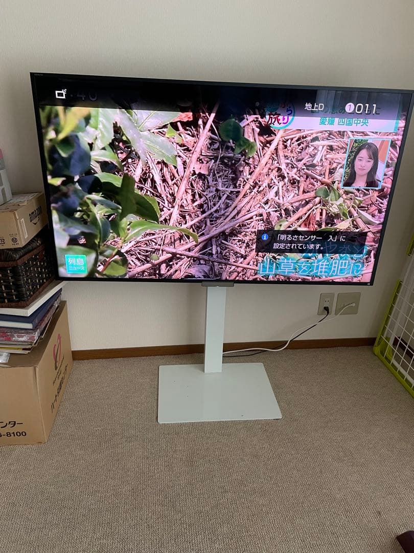 Sony ブラビア　55型　KDL-55W920A