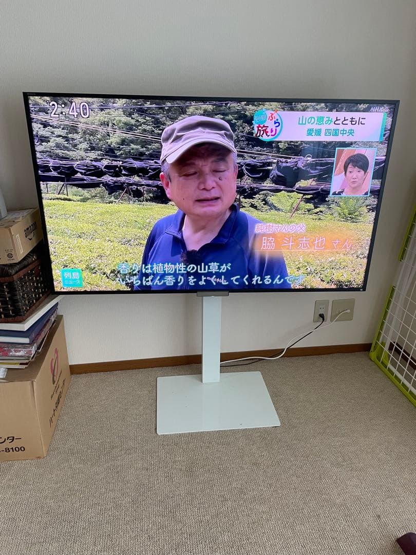 Sony ブラビア　55型　KDL-55W920A