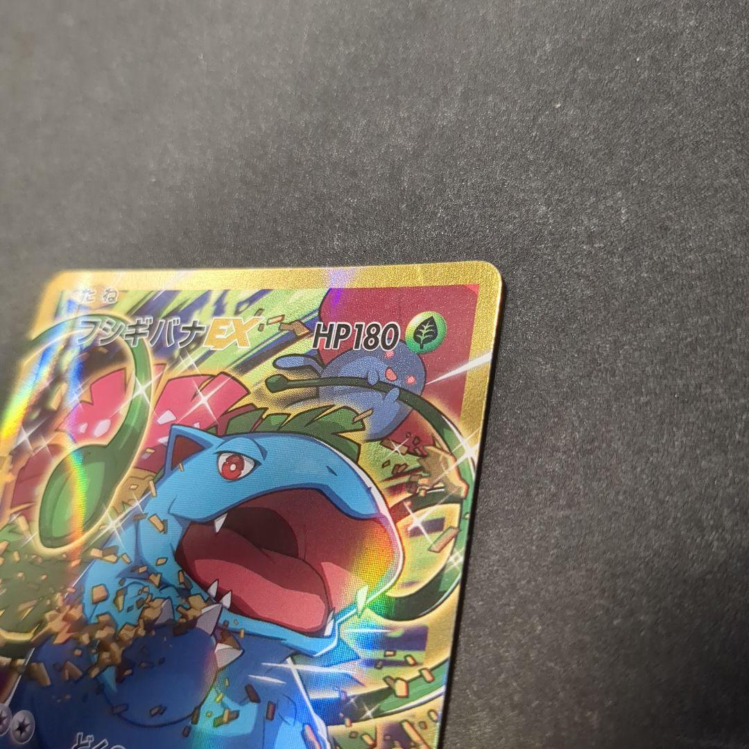 フシギバナEX SR CP6 20th