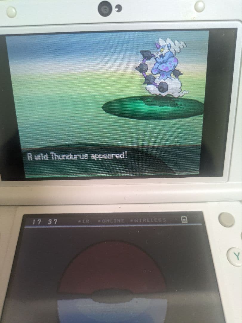 乱数調整　受付用　メモリーカード　ポケモンコロシアム　など