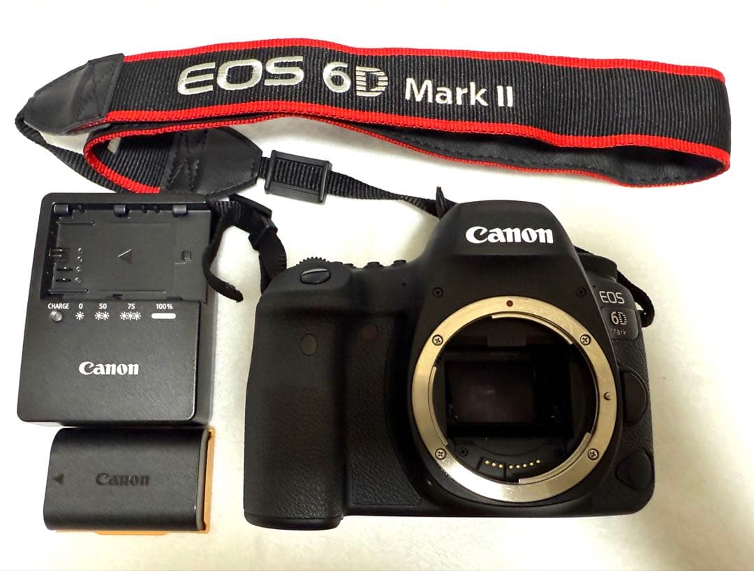 Canon EOS 6D Mark II 本体