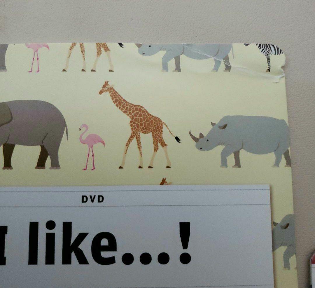 専用ー「Key phrases 」DVD付き