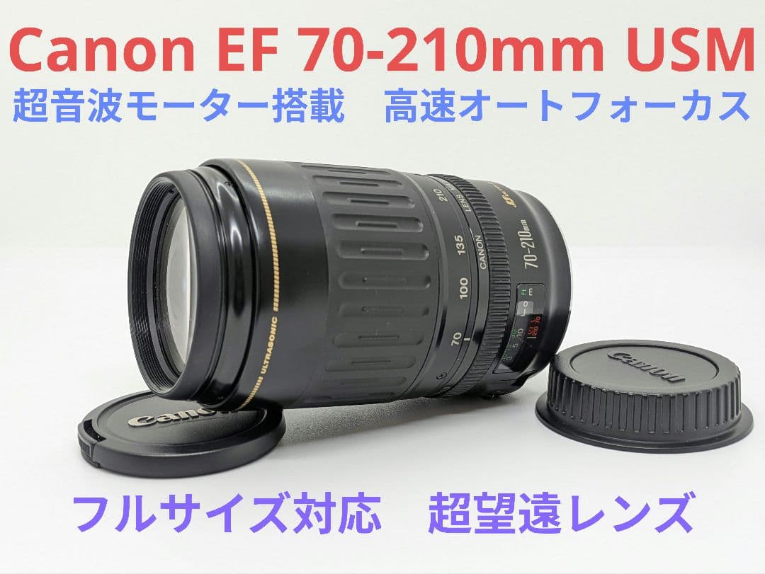 5月31日限定価格♪【望遠レンズ】Canon EF70-210mm USM