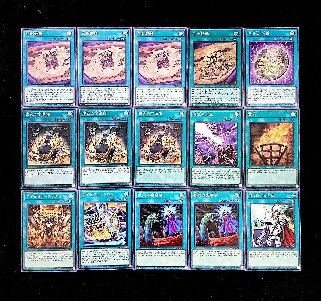 遊戯王 【本格構築‼️】巳剣 ライゼオル 構築済みデッキ‼️ 大会 下準備