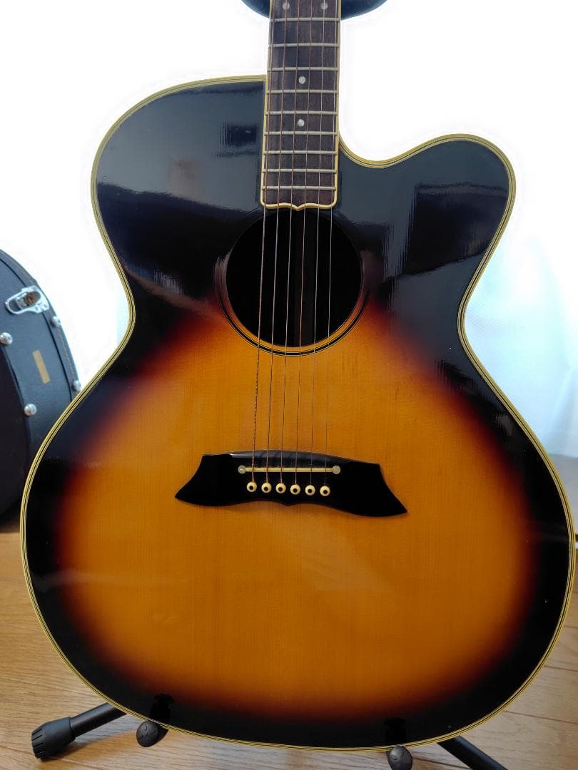 Takamine PT-010S カッタウェイエレアコ　アーチドトップ