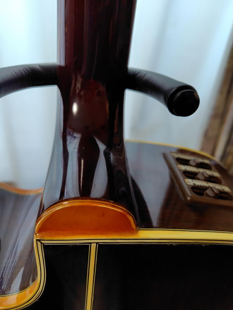 Takamine PT-010S カッタウェイエレアコ　アーチドトップ