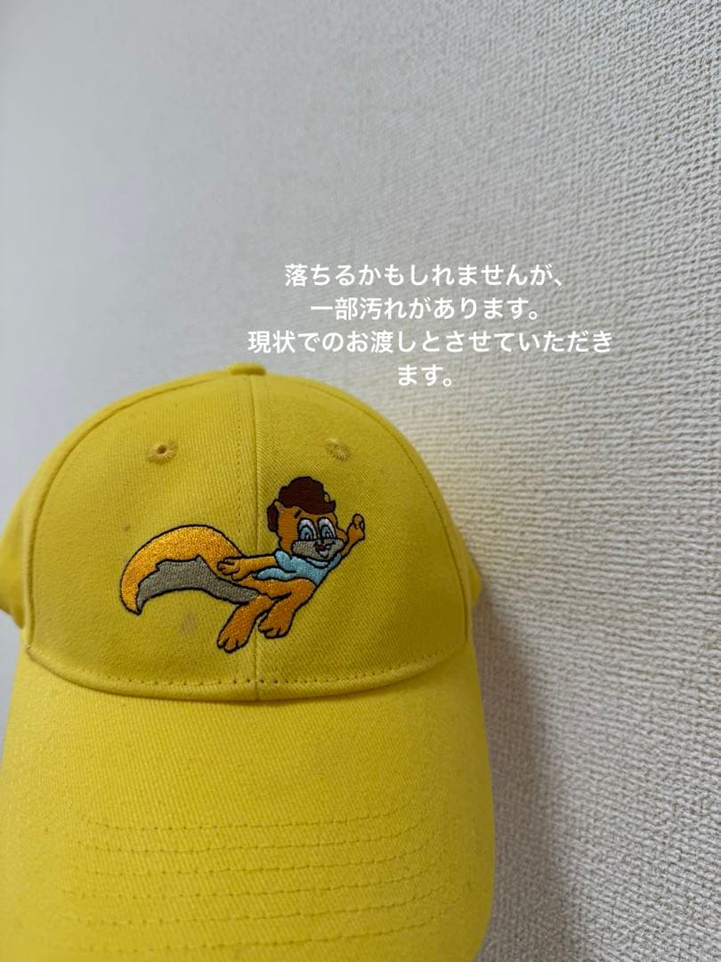 【美品】Zippy and Me 最新版 フルセット DWE