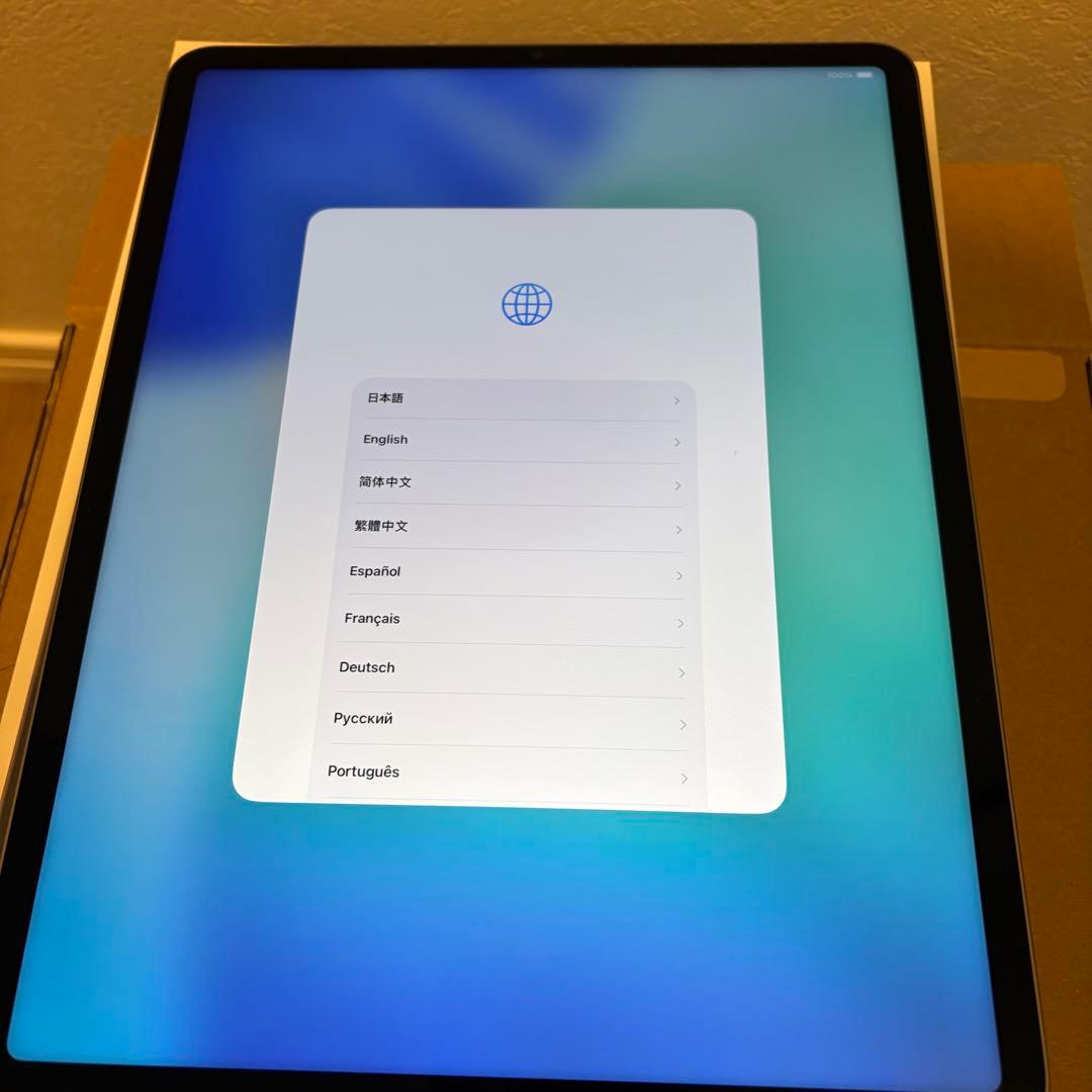 極美品 iPad Pro 12.9インチ M1 256GB アップルペンシル付き