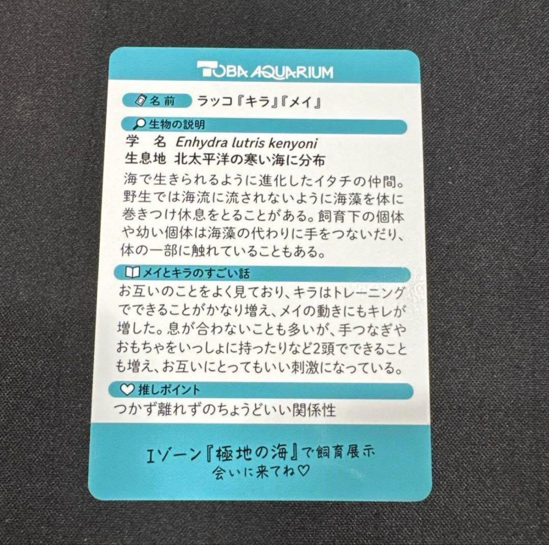 【匿名配送】鳥羽水族館　70周年記念　コレクションカード　レアカード　メイ　キラ