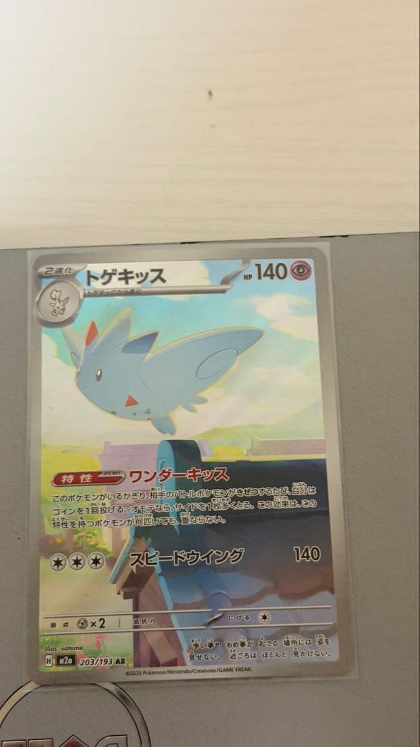 メイのはげましSR & メガリザードンX EX