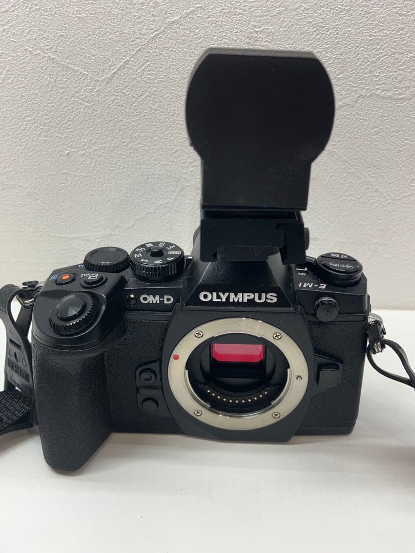 オリンパス　E-M1 一眼レフ　ルミックス　望遠レンズ【④】