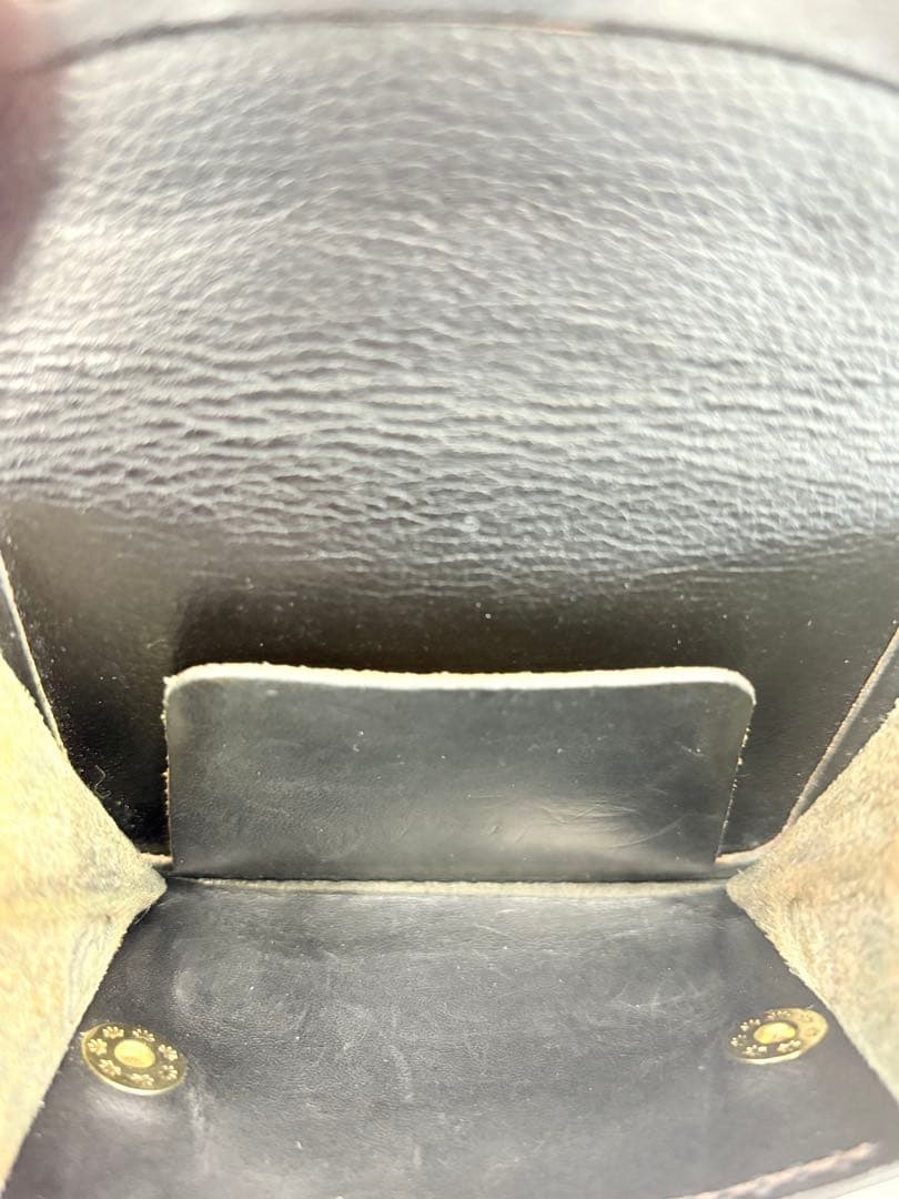 ワイルドスワンズ タング