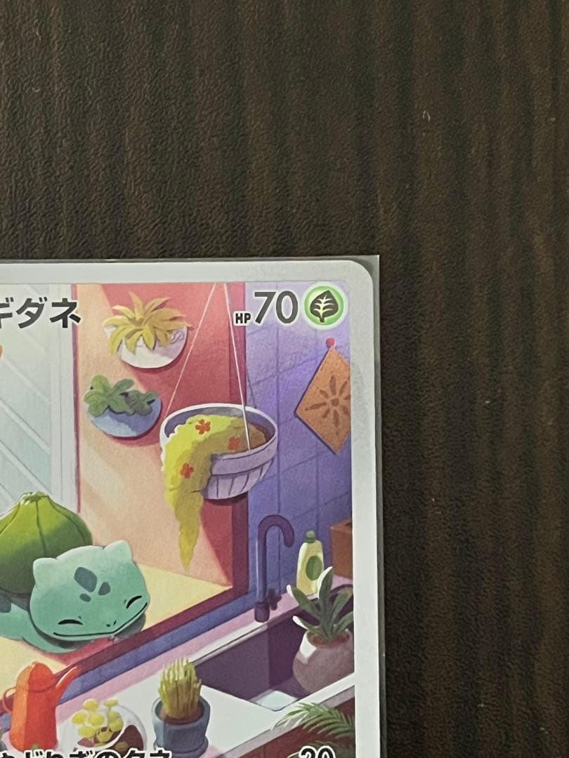 ゼニガメ　ヒトカゲ　フシギダネ　ar セット