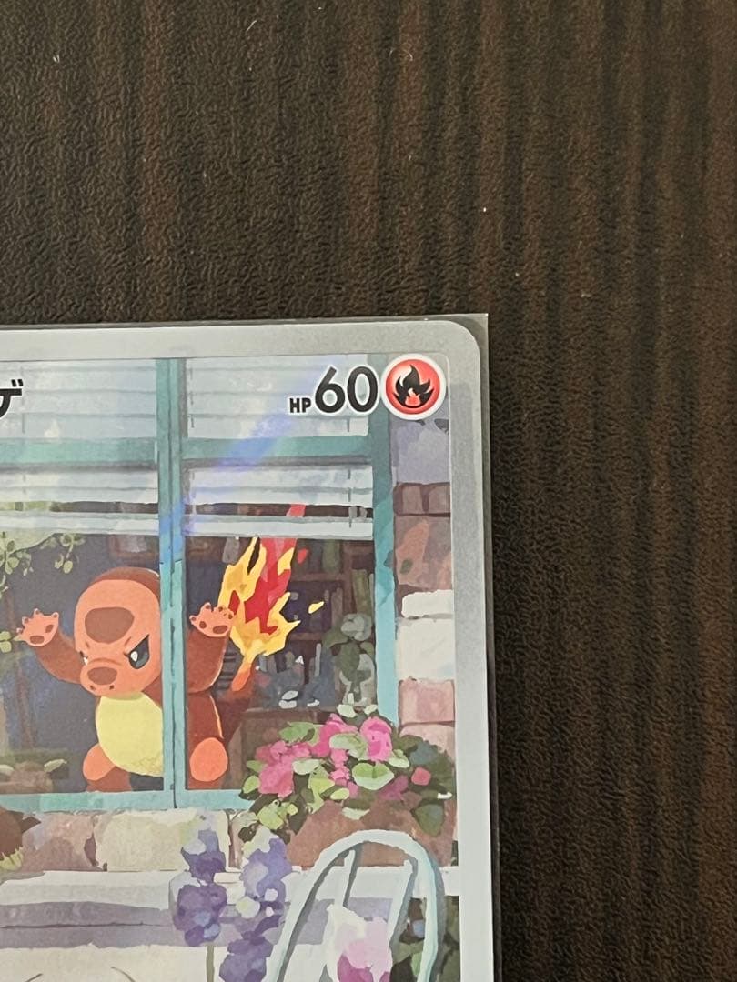 ゼニガメ　ヒトカゲ　フシギダネ　ar セット