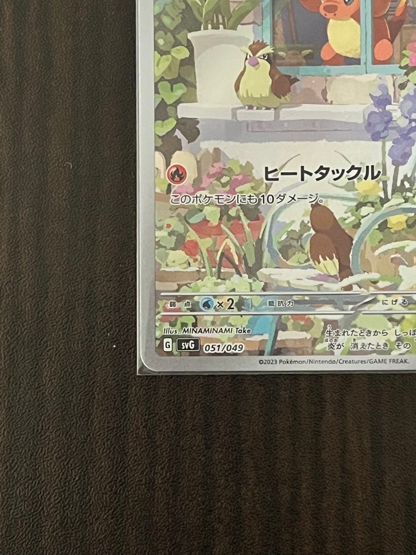 ゼニガメ　ヒトカゲ　フシギダネ　ar セット