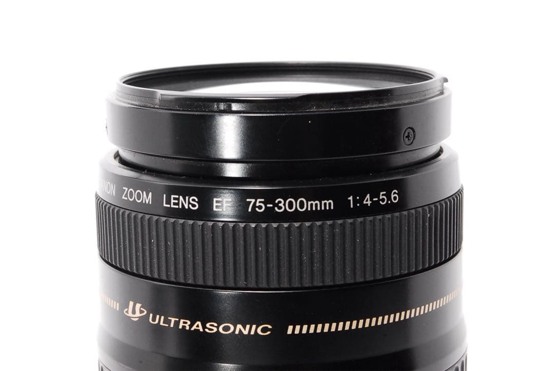 WiFiで楽々転送◆Canon EOS 70D◆一眼レフカメラ◆STMレンズ搭載