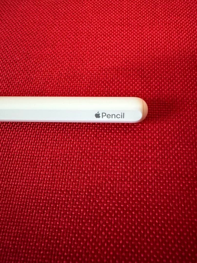 Apple iPad Pro 11 (第2世代) スペースグレー 512GB