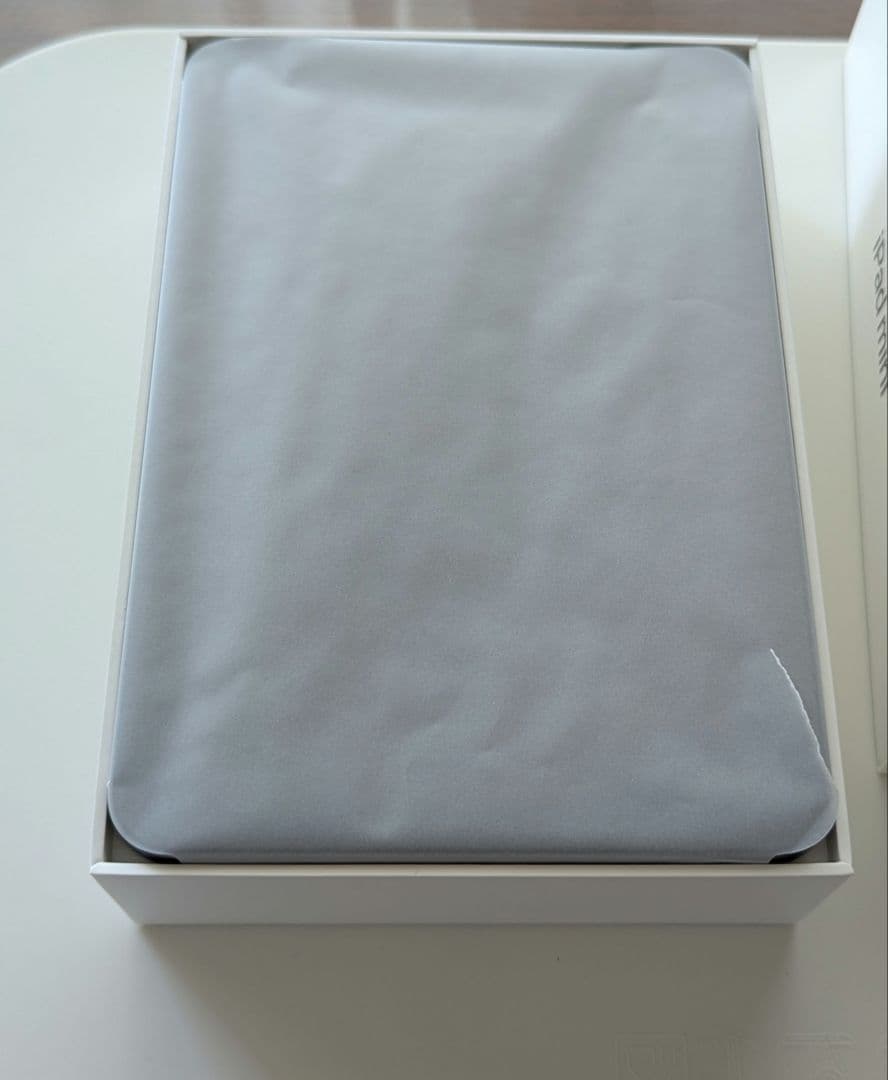 iPadmini 第6世代 256GB バッテリー最大容量100%