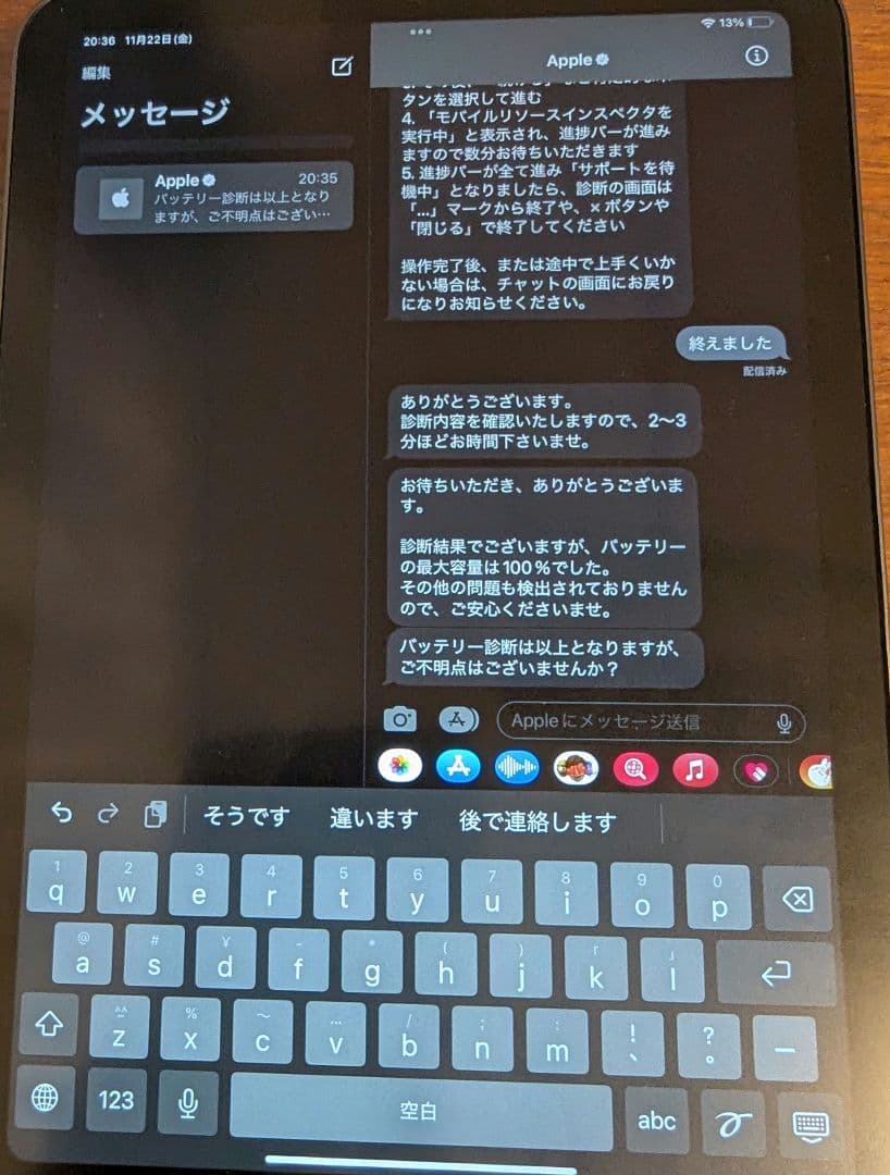 iPadmini 第6世代 256GB バッテリー最大容量100%