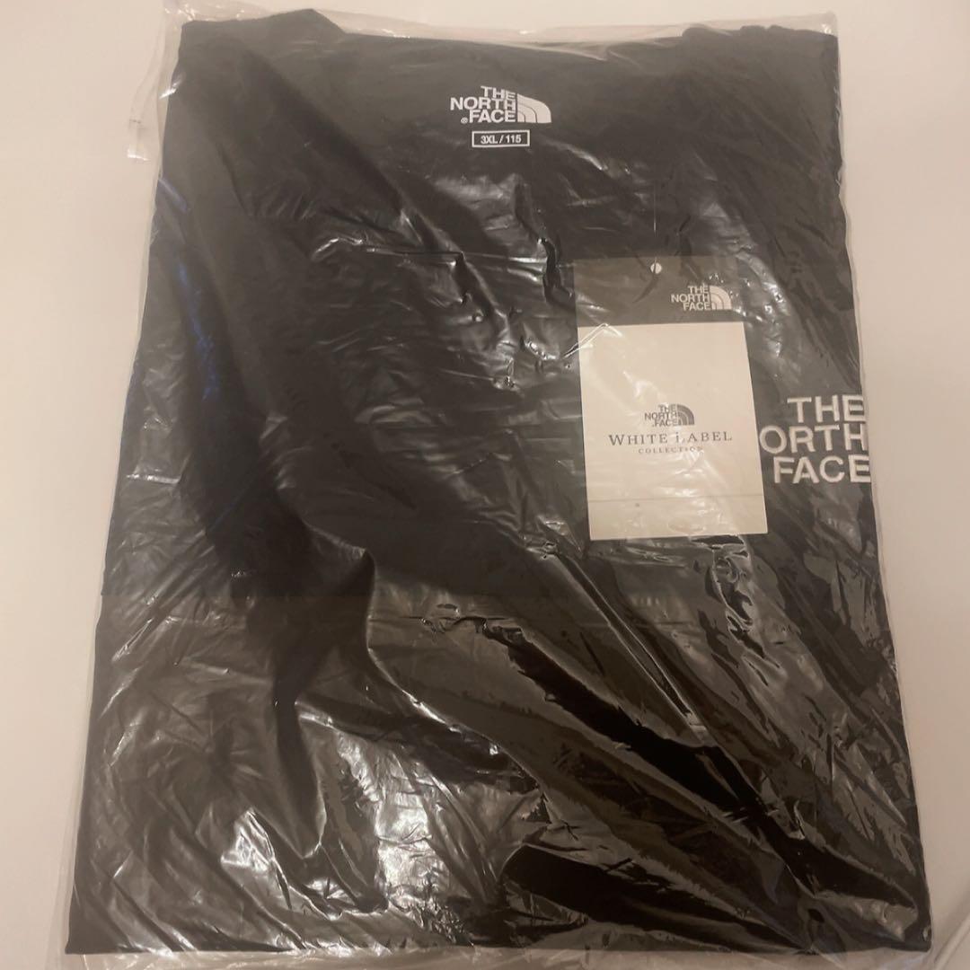 韓国　ノースフェイス XXXL　3XL アルバニー 長袖　Tシャツ　新品　4XL