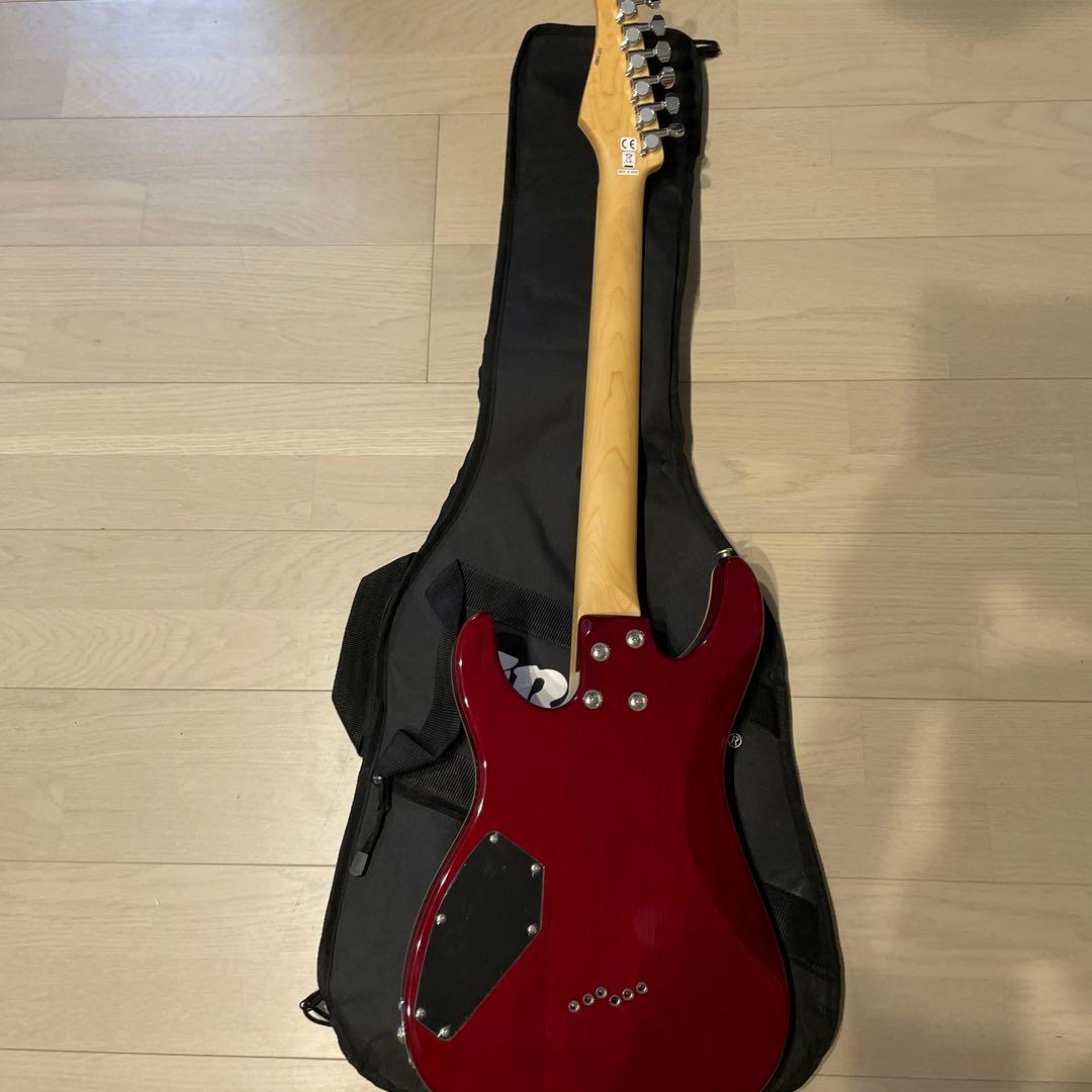 ギターソフトケース付