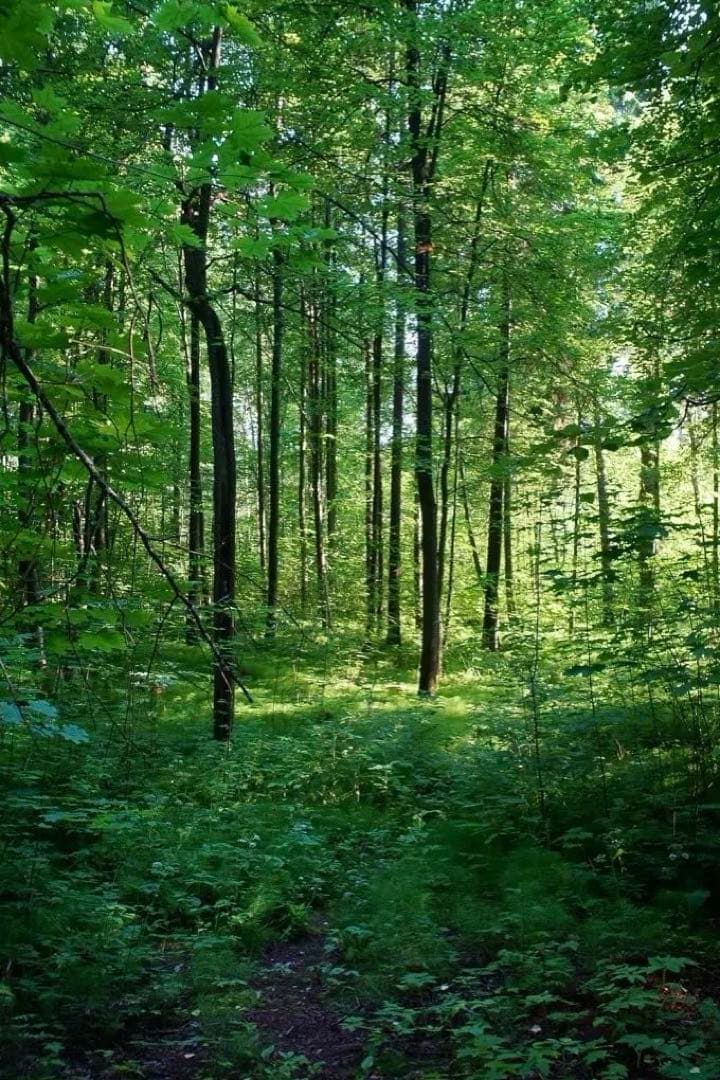 超希少 LOMO OKC1-22-1 22mm f2.8 ライカLマウント 2