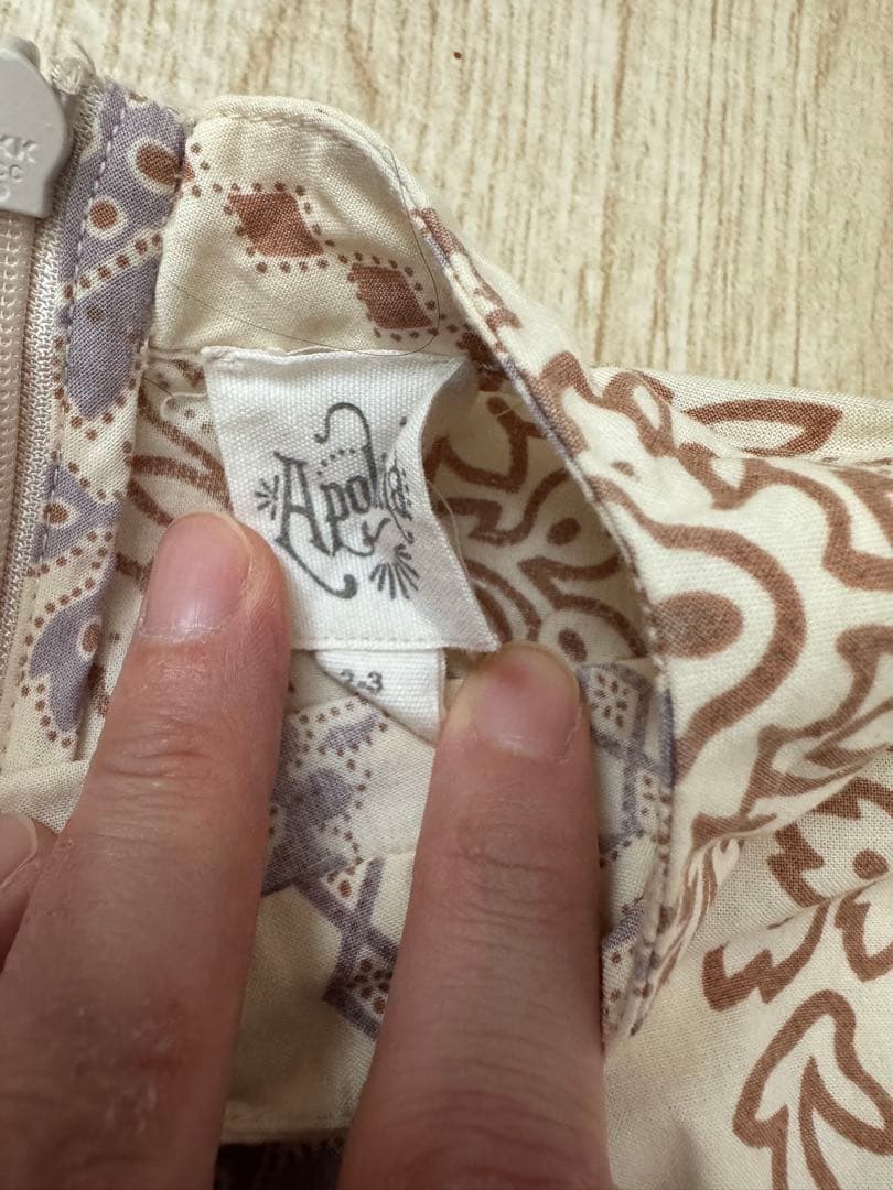 apolina セットアップ