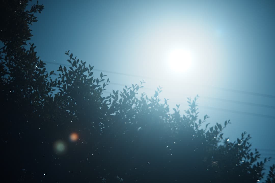 【バブルボケ】 FUJINON 55mm F2.2 M42 563