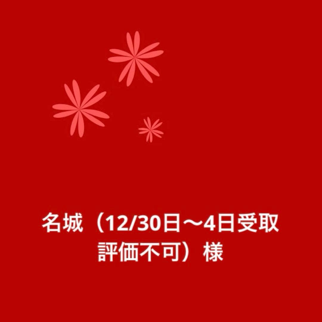■ 美品 ■ キヤノン　Canon PowerShot SX710HS 動作良好