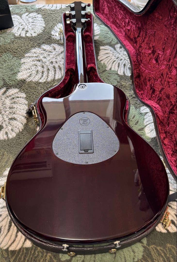 Taylor エレアコ T5 Pro TB