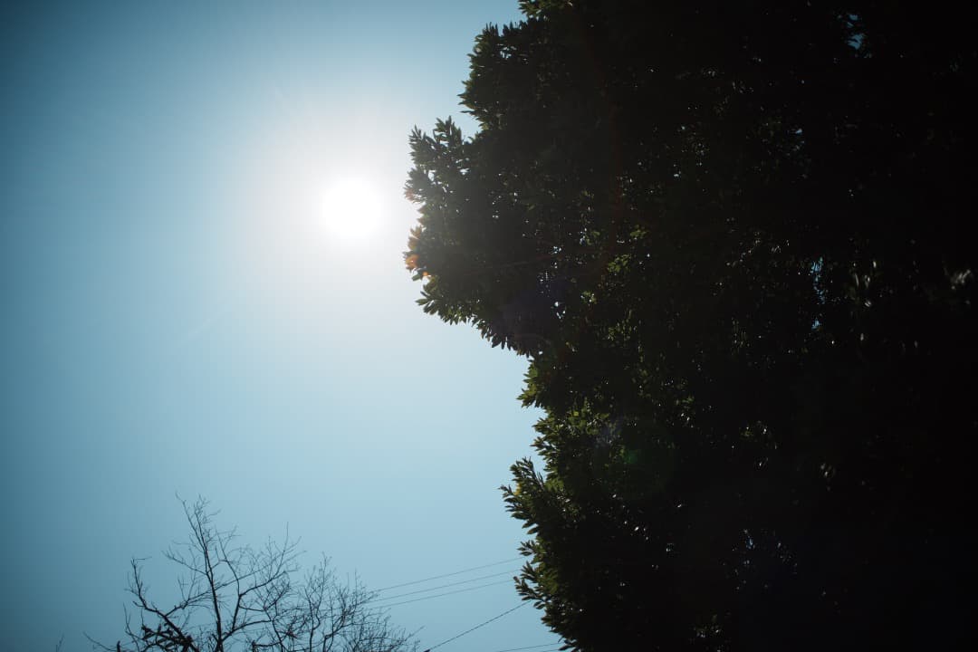 【美品】動作◎ オリンパス Zuiko auto-w 24mm F2.8 930