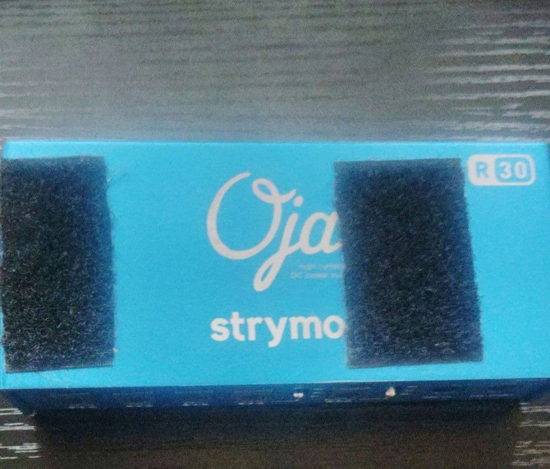 ギター strymon ojay R30