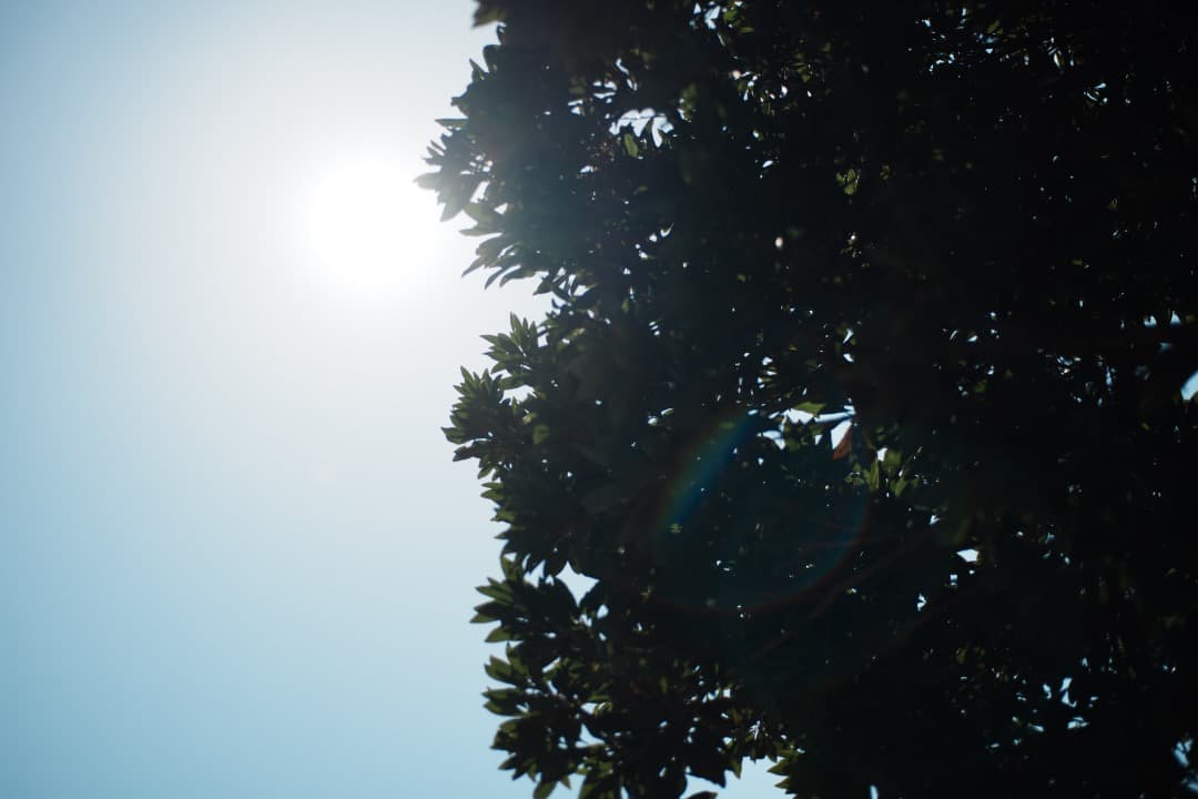 極美品 AF Ai Micor-Nikkor 60mm F2.8D 460