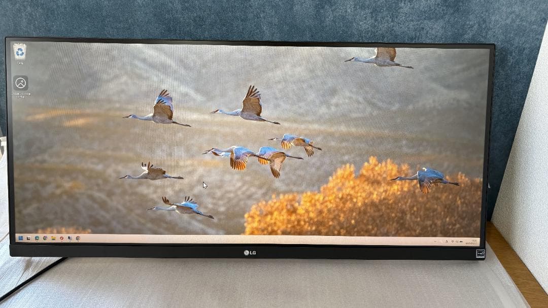 LG 29WQ600-W 29インチ ウルトラワイドモニター