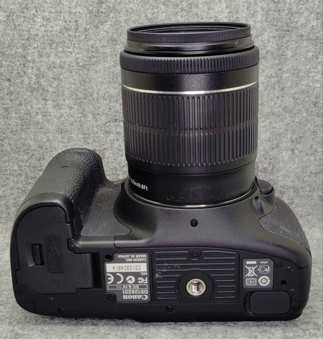 Canon EOS 7D 標準ズームレンズ付き