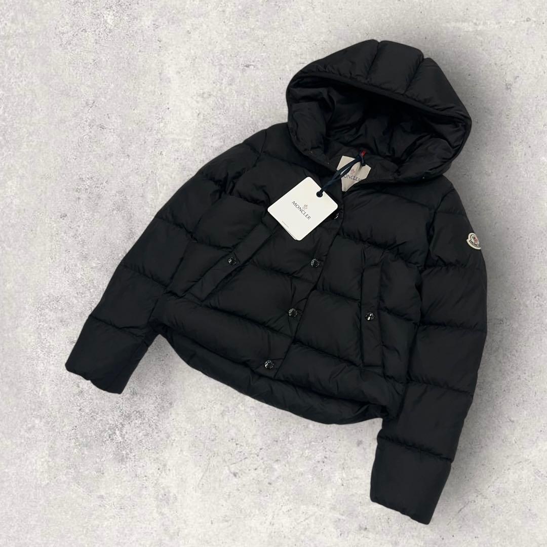 12026【タグ付き・QR鑑定済み】モンクレール　LENAR ダウンジャケット黒