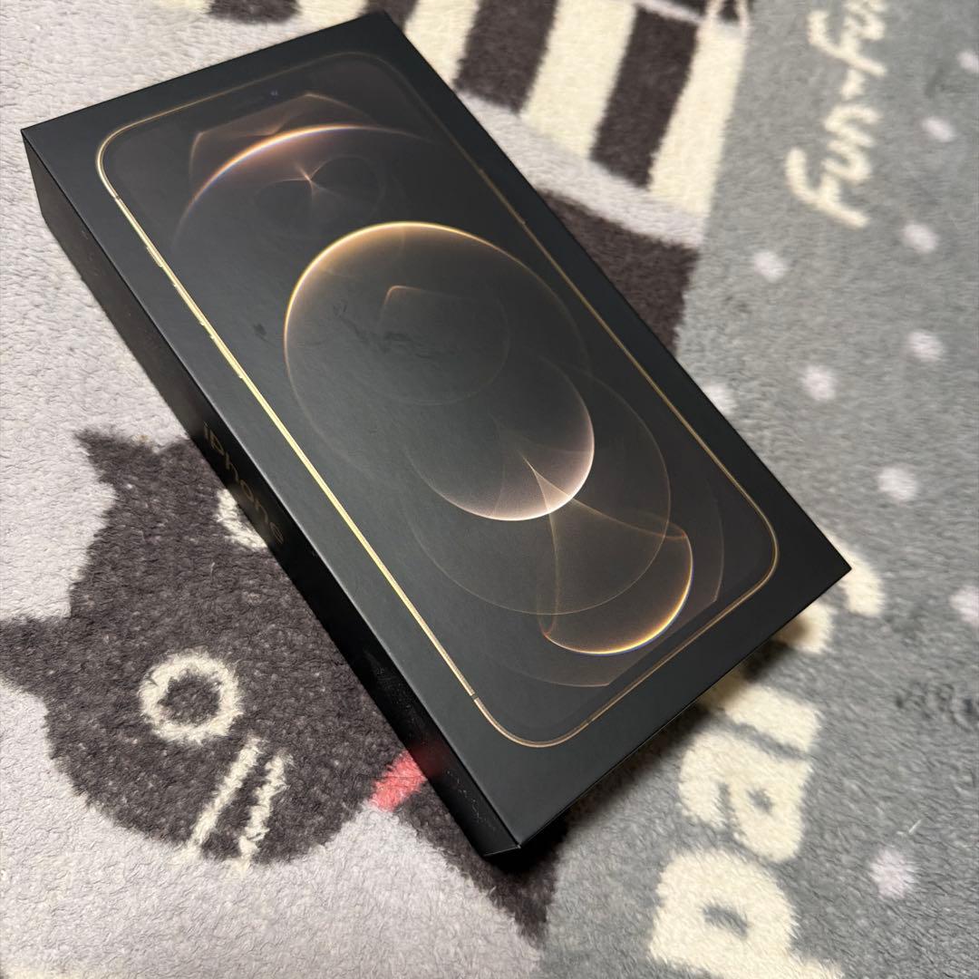 中古美品　iPhone 12 pro max 256 GB cold