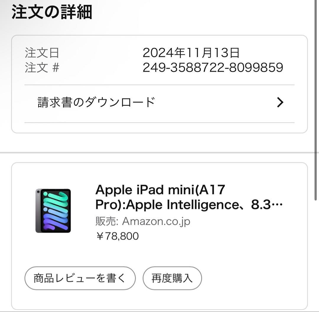 iPad mini 第7世代(A17Pro) 128GB スペースグレイ おまけ
