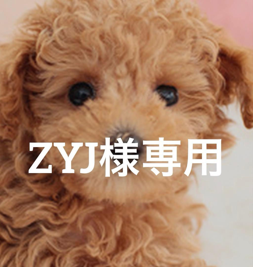 ボディ・フェイスケア ZYJ