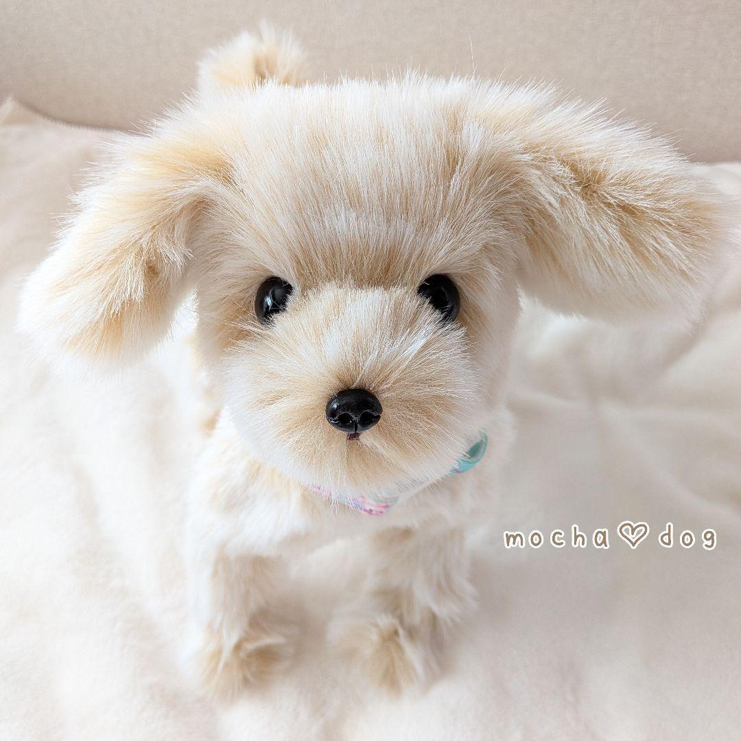 ＊mocha♡dog＊ mixdog(M)☆ぬいぐるみわんこ 犬　 ハンドメイド