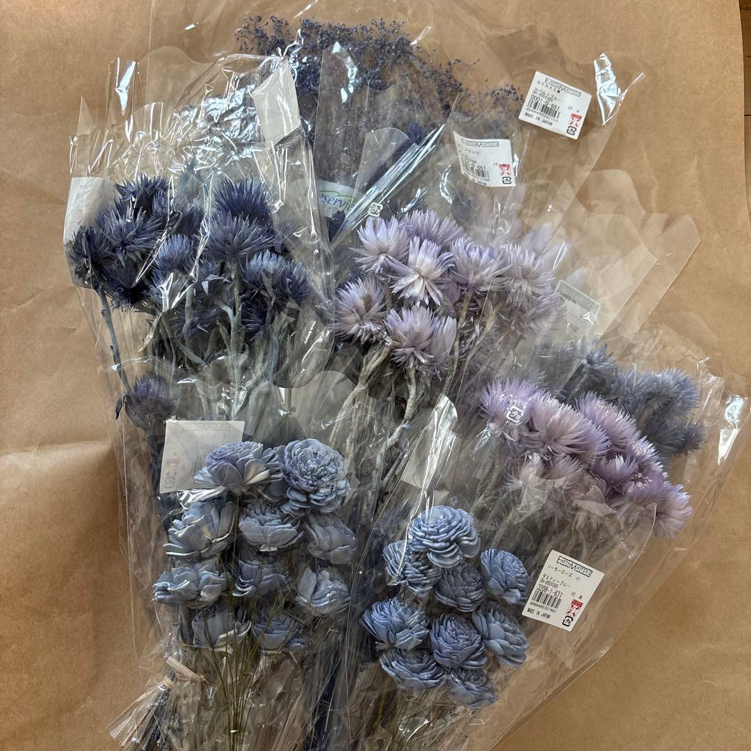 ドライフラワー花材セット