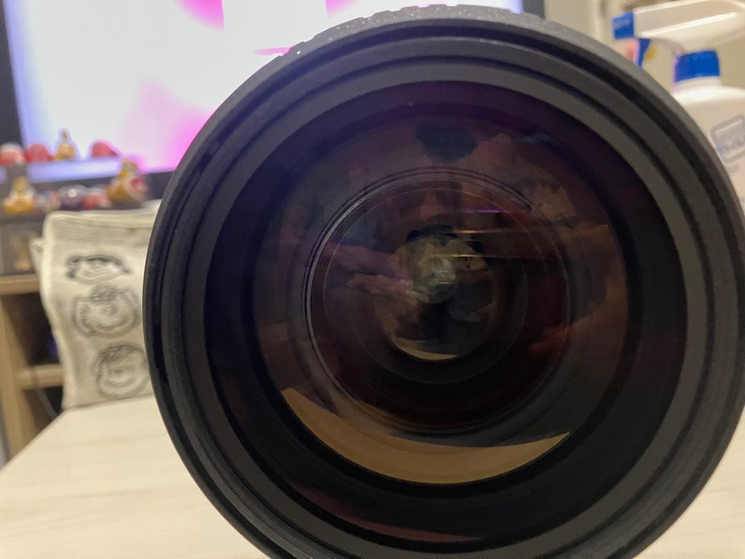 Sigma EX APO HSM 50-500mm f4-6.3 CANON用