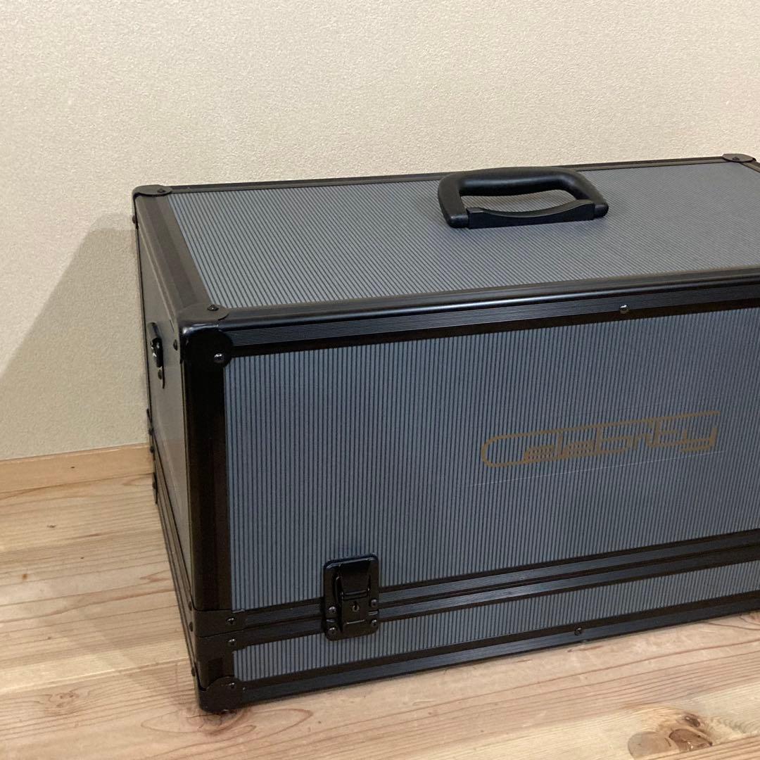 激レア　SONY Celebrity D-3000 の　専用ハードケース　ソニー