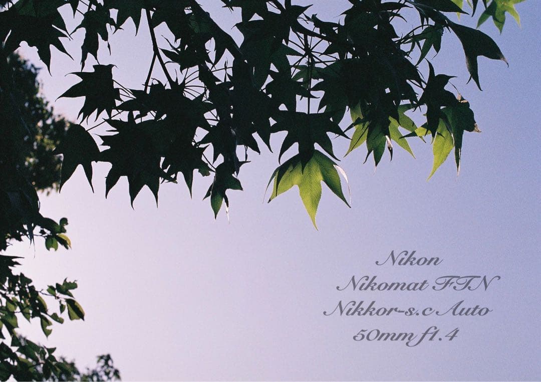 ニコン FTN &ニッコール f1.4★完動品！動作確認済＊返品保証付＊作例多数