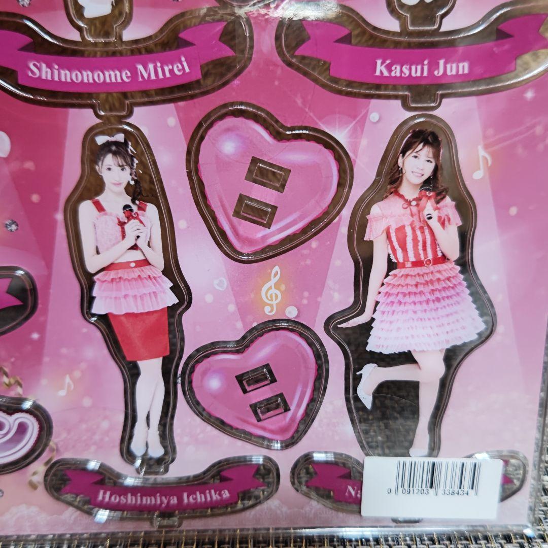 【エスワンキャンペーン】B4アクリルスタンド（チームN）