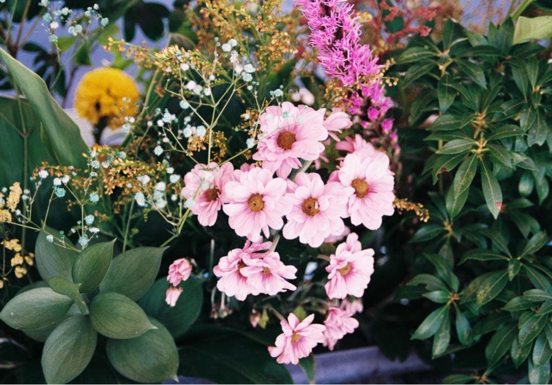 Nikon F4 動作確認済み 使用感少 純正ストラップ、説明書付き 作例あり