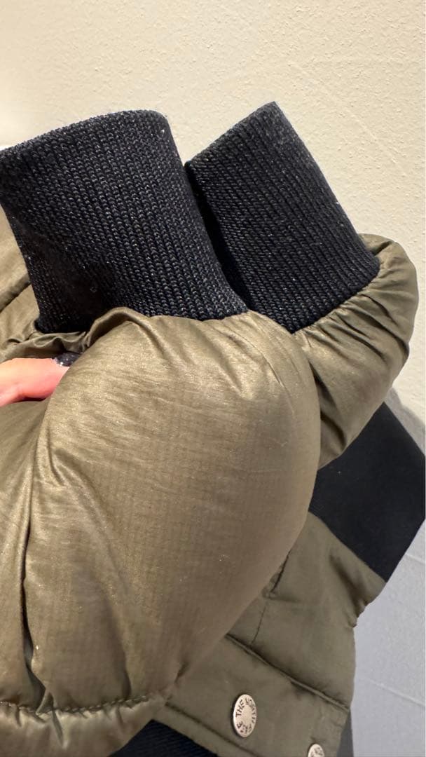 ザノースフェイスTHE NORTH FACEエコダウン