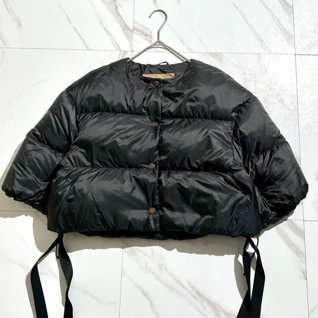 美品 24AW✨Max Mara The Cube クロップド ダウンジャケット