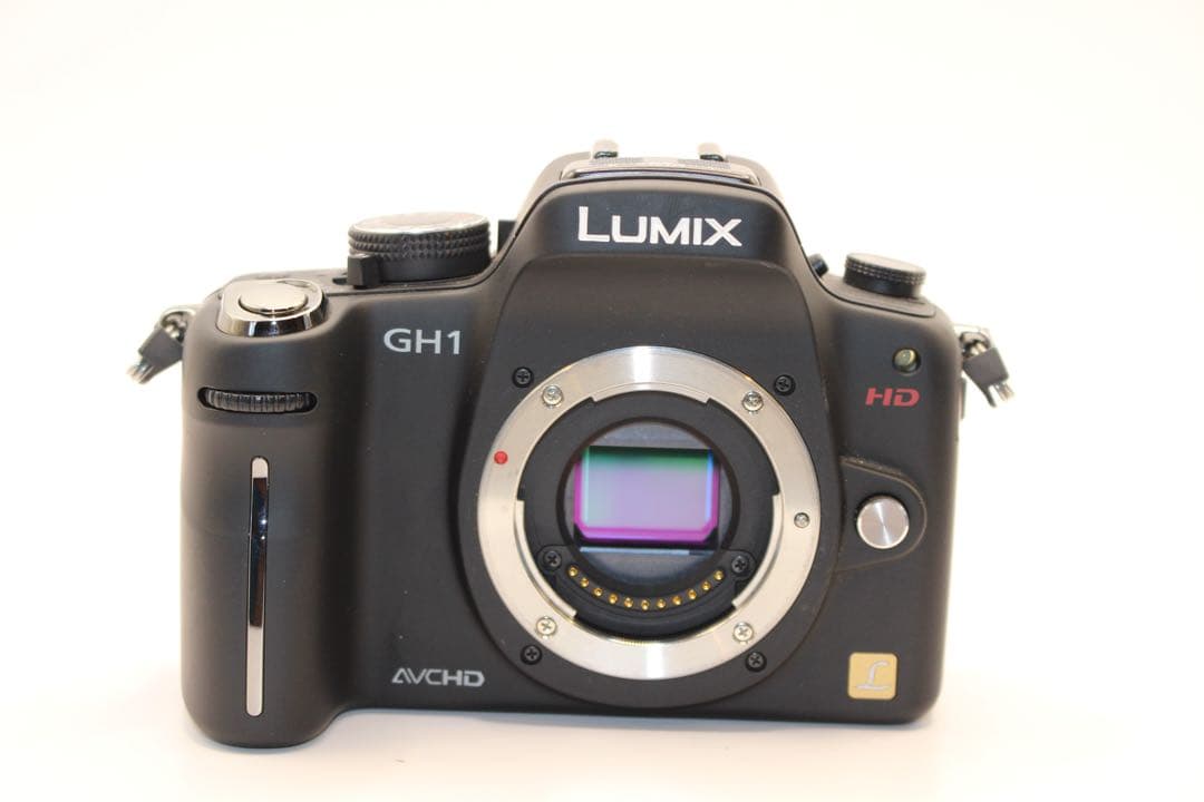 ★ショット数3993回★ LUMIX DMC-GH1 レンズキット　ミラーレス