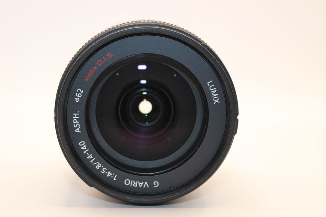 ★ショット数3993回★ LUMIX DMC-GH1 レンズキット　ミラーレス